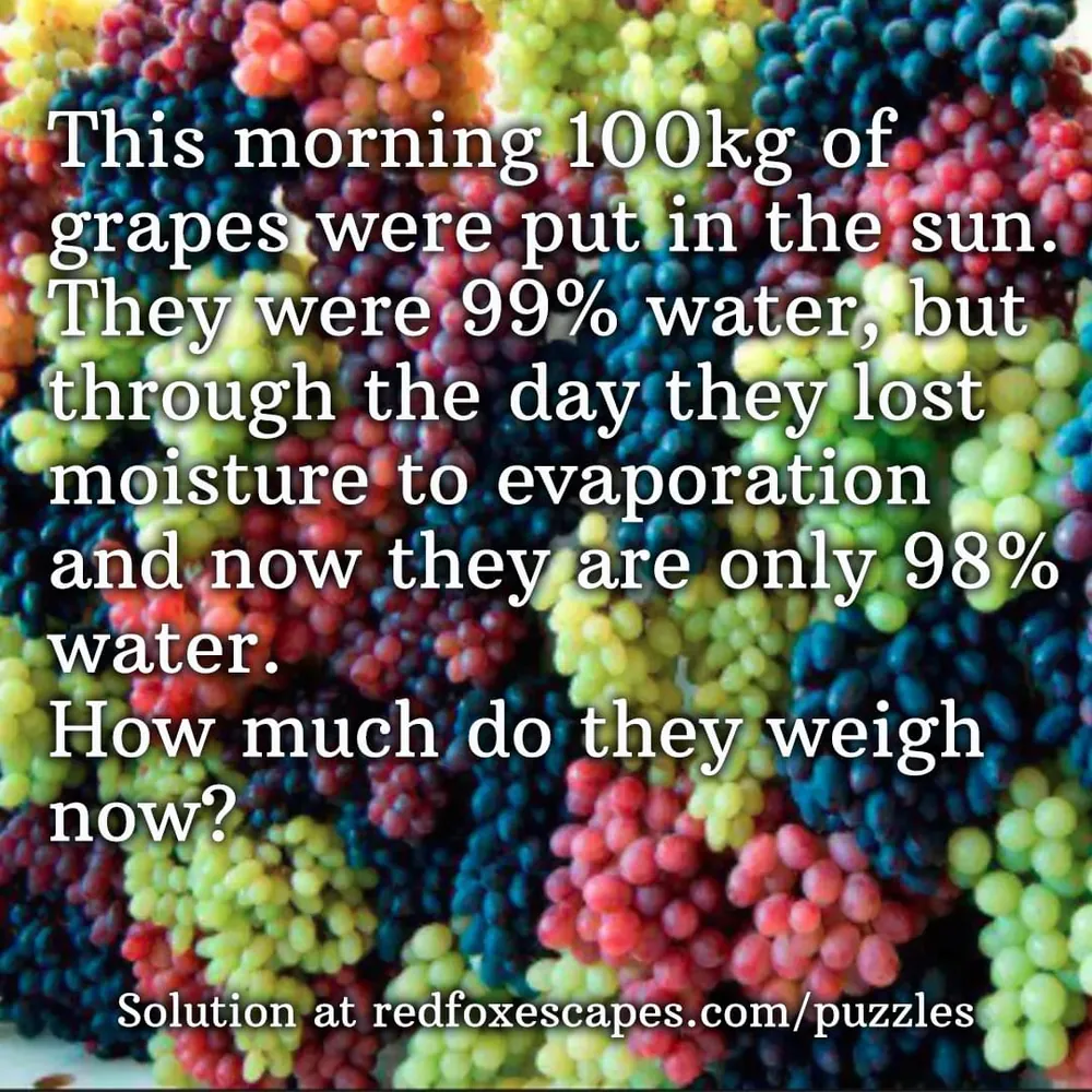 Grapes in the sun puzzle